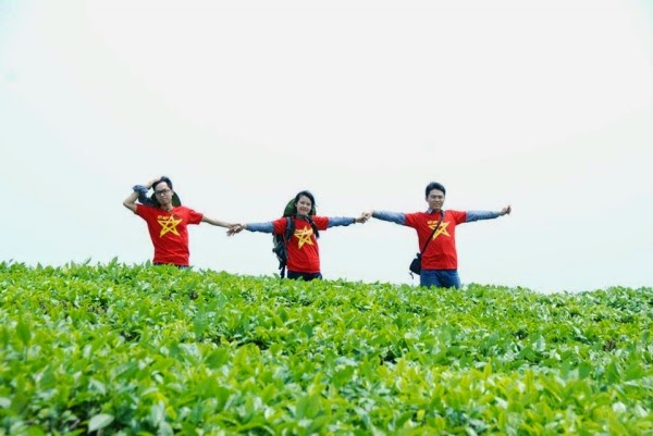 Đồi chè